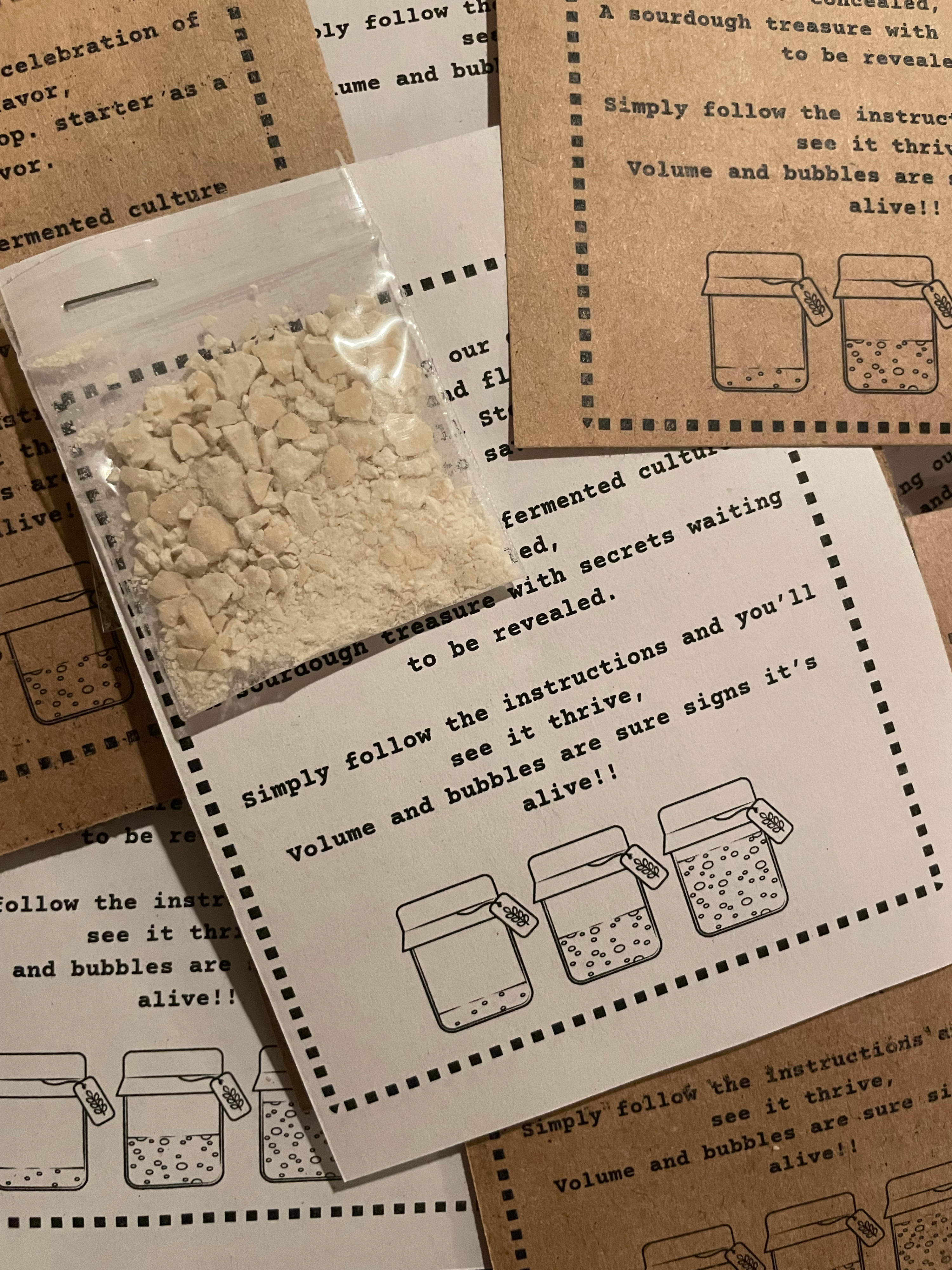 Dehydrated Sourdough Starter Kit image 0